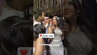 بيعدلها شعرها شوف حب واهتمام احمد جمال بعروسته في حفل زفافهم 