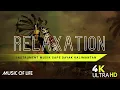 Download Lagu MUSIK RELAKSASI - Instrument Sape Dayak Kalimantan | Meditasi Pikiran Tenang | Musik Supranatural