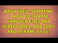 Bash Shell Scripting - How to iterate through files and directories and copy and rename files