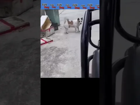 Jaara Tameez Se 😂 |FUN Bong