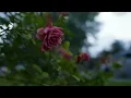 Mick Jenkins & EMIL feat. ENNY - Words I Should've said (Instrumental)