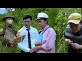 Download Lagu The police and Jack have come up with the perfect plan to capture Huong - will the plan work?