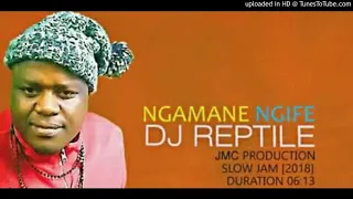 dj reptile ngamane ngife