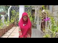 Download Lagu ANGGREK INDAH DI HALAMAN RUMAH, BISA JADI INSPIRASI UNTUK PEMULA