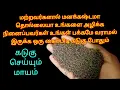 Lagu ஒரு கைப்பிடி கடுகு போதும் எதிரிகள் உங்கள் பக்கம் தலைவைத்து கூட படுக்கமாட்டார்கள் பவர்ஃபுல் பரிகாரம்