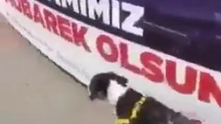 عندما تبول الكلاب على الخونه عقبال اما تشخ 