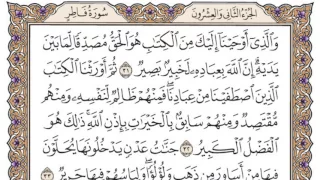 سورة فاطر محمد صديق المنشاوي 