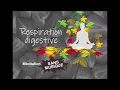 Digestive Breathing - Meditation without music - Parasympathetic mode - Sophrology - Vagus nerve