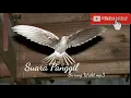 Download Lagu SP LINTAS BENUA SUPER | SUARA WALET TV