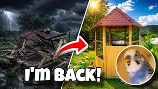 After a whole year of silence, I am finally back.