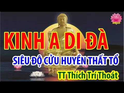 Download MP3 TỤNG KINH A DI ĐÀ( Thế giới CỰC LẠC) có CHỮ TO DỄ ĐỌC| SIÊU ĐỘ CỬU HUYỀN THẤT TỔ| TT Thích Trí Thoát