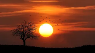 احساس اللحن لما يعبر عن القلب موسيقي جبل الحلال جبل الحلال حالات واتس 