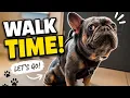 That Face When It s Finally Walk Time
