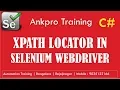 Selenium with C 9 - Selenium XPath locator XPath syntax Absolute xpath and relative xpath
