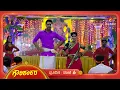 Download Lagu ಗಣಪನನ್ನು ಸ್ತುತಿಸಿ ಜೊತೆಯಾಗಿ ಹೆಜ್ಜೆ ಹಾಕಿದ ಗೌರಿ - ಶಂಕರ | Ep 612 | 02 Sep 2025 | Gowri Shanakara