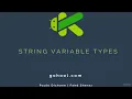 12 - Type of Variable String