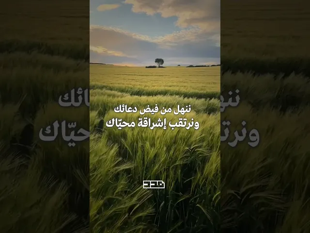 ⁣صباح الخير يا صاحب الزمان✨#الإمام_المهدي #يوم_الجمعة #صباح_الخير