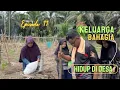 Download Lagu Episode 12 gotong royong di kebun||keluarga bahagia hidup di desa beda tipis new