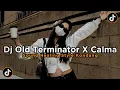 Download Lagu DJ OLD TERMINATOR X CALMA SOUND HEALING STYLE KONDANG MENGKANE JEDAG JEDUG VIRAL TIKTOK 2025