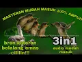 Download Lagu 3 Variasi! Masteran CIGUN isian Brenn Keteran,Belalang,Cililin||Suara Jernih Mudah di Tirukan
