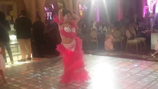 الراقصه صوفيا شاهين ترقص على الصعيدى والمزمار شاهد 