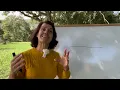 The Eight Natural Remedies for Perfect Health - With Célia Rabello