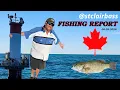 St Clair Bass Fishing Report 06 26 2026