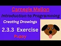 CM Intro to Programming Unit 2 Lesson 3 Exercise Puppy