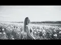 Forester - Sunrise ft. OCULA, Madeline Megery