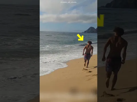 #bts