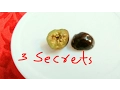3 Secrets of growing fig fruits in pots
