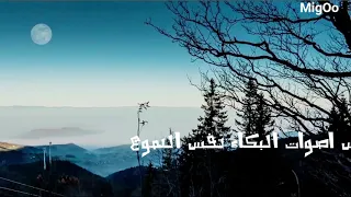 حالات واتس احمد كامل اخطر حالة MigOo 