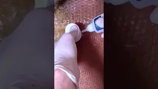 #totalboat #totalbond