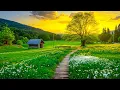 Download Lagu 🌿 Healing Wind - Piano for Soul and Heart