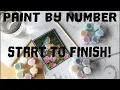 Paint Chat Paint By Number - Garden Bluebirds by Dimensions Paint Works