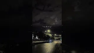 لبى قلبه لبي عينه دندنها