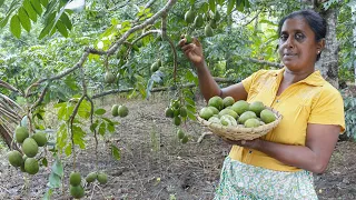 June plum recipes  (Ambarella)  Some more amazing recipes with delicious chutney.