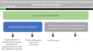 Quelles sont les principales évolutions de la structure socioprofessionnelle ?