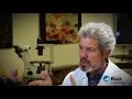 STEAM Engine Analyzing and Interpreting Data at the Buck Institute