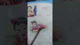                           دندنها