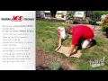 Re-Seeding Your Lawn