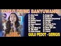 Download Lagu Dini Kurnia - GERAJAGAN, ACLAK - GULU PEDOT - GERIGIS - FULL ALBUM KOPLO OSING BANYUWANGI VIRAL 2025