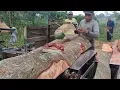 Download Lagu Menggergaji kayu sengon bahan kasau !! Gergaji serkel rakitan