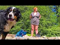 Download Lagu Perjalanan Lucu ke Sungai Bersama Anjing Saya