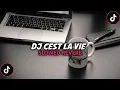 Download Lagu DJ CEST LA VIE X MAKIN BANYAK ORANG MIRING NGURUSIN HIDUP ORANG LAIN VIRAL TIKTOK