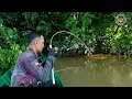 Download Lagu Mancing udang galah,spot baru yang belum pernah saya pancing penghuninya galak dan liar