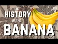 The Not-So-Sweet Story of Bananas