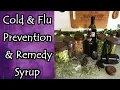 Elderberry Spice Syrup Recipe for Cold and Flu Prevention and Remedy