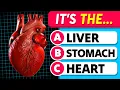 How Well Do You Know the Human Body Human Body Parts General Knowledge Quiz