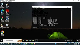 Attack a vulnerable program using strcpy and large enough buffer with C from command line